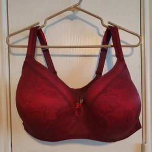 Lane Bryant Cacique bra (Lightly lined Balconette)